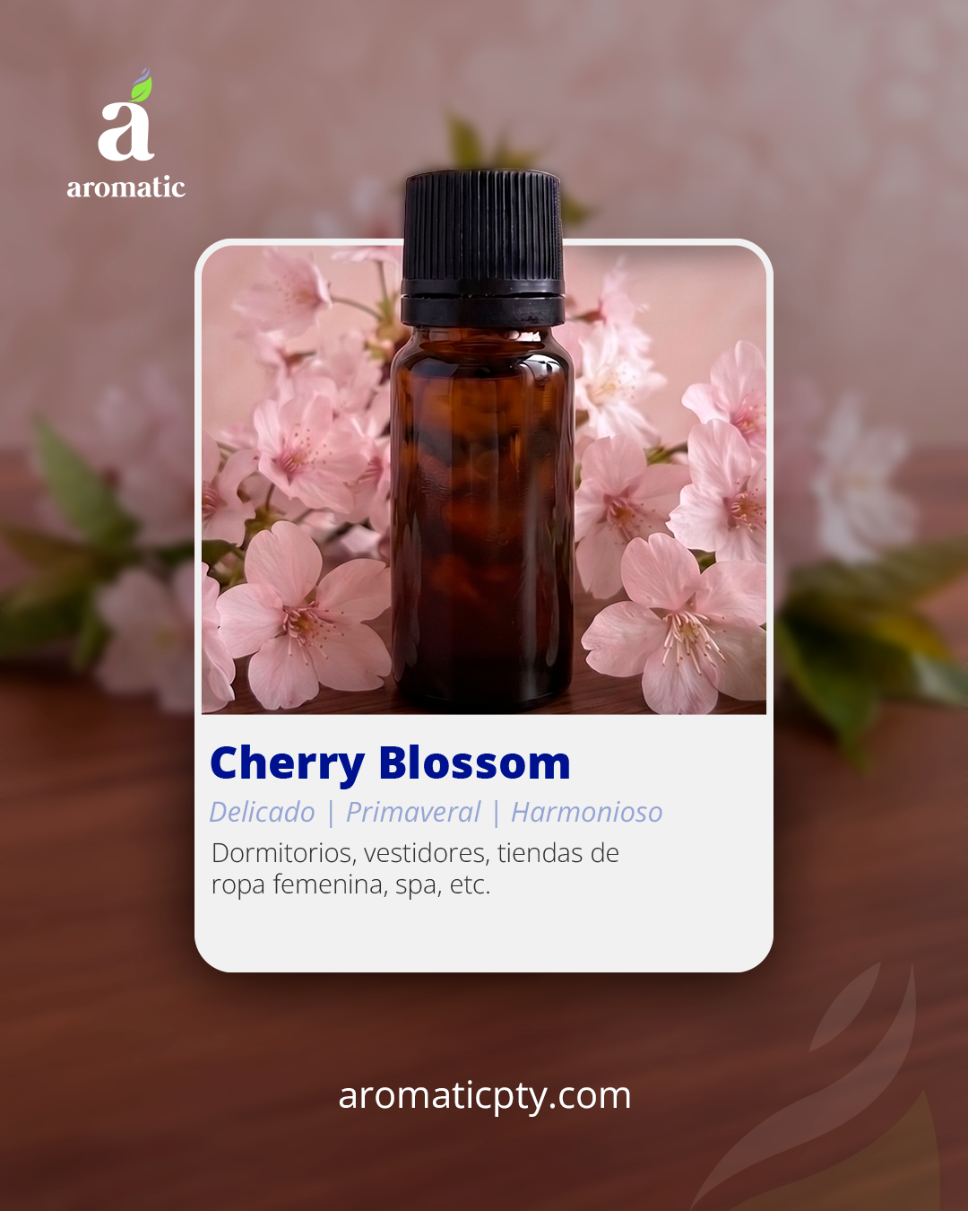 Cherry Blossom