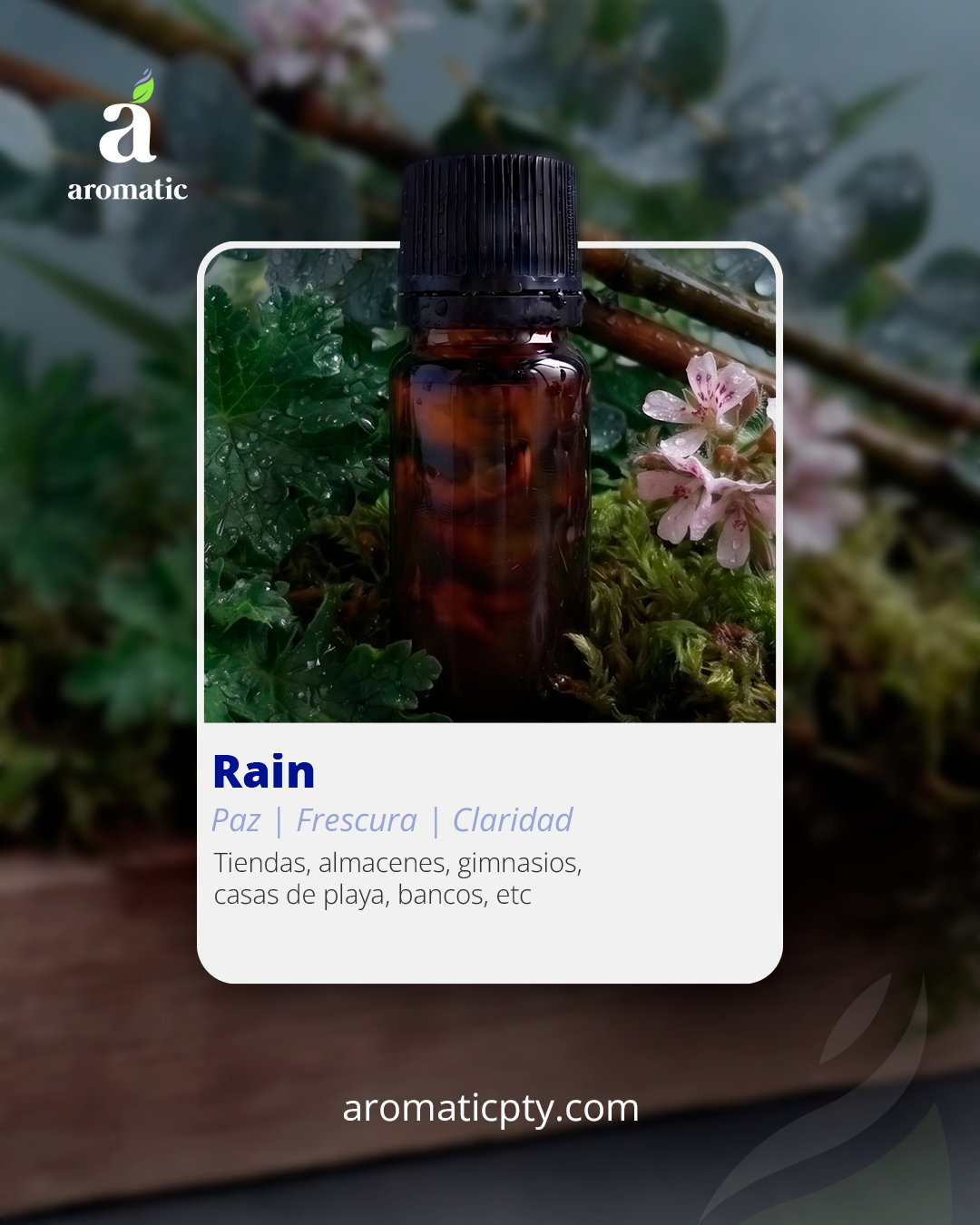Rain