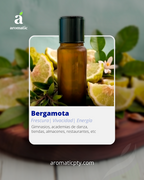 Bergamota