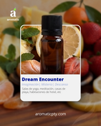 Dream Encounter