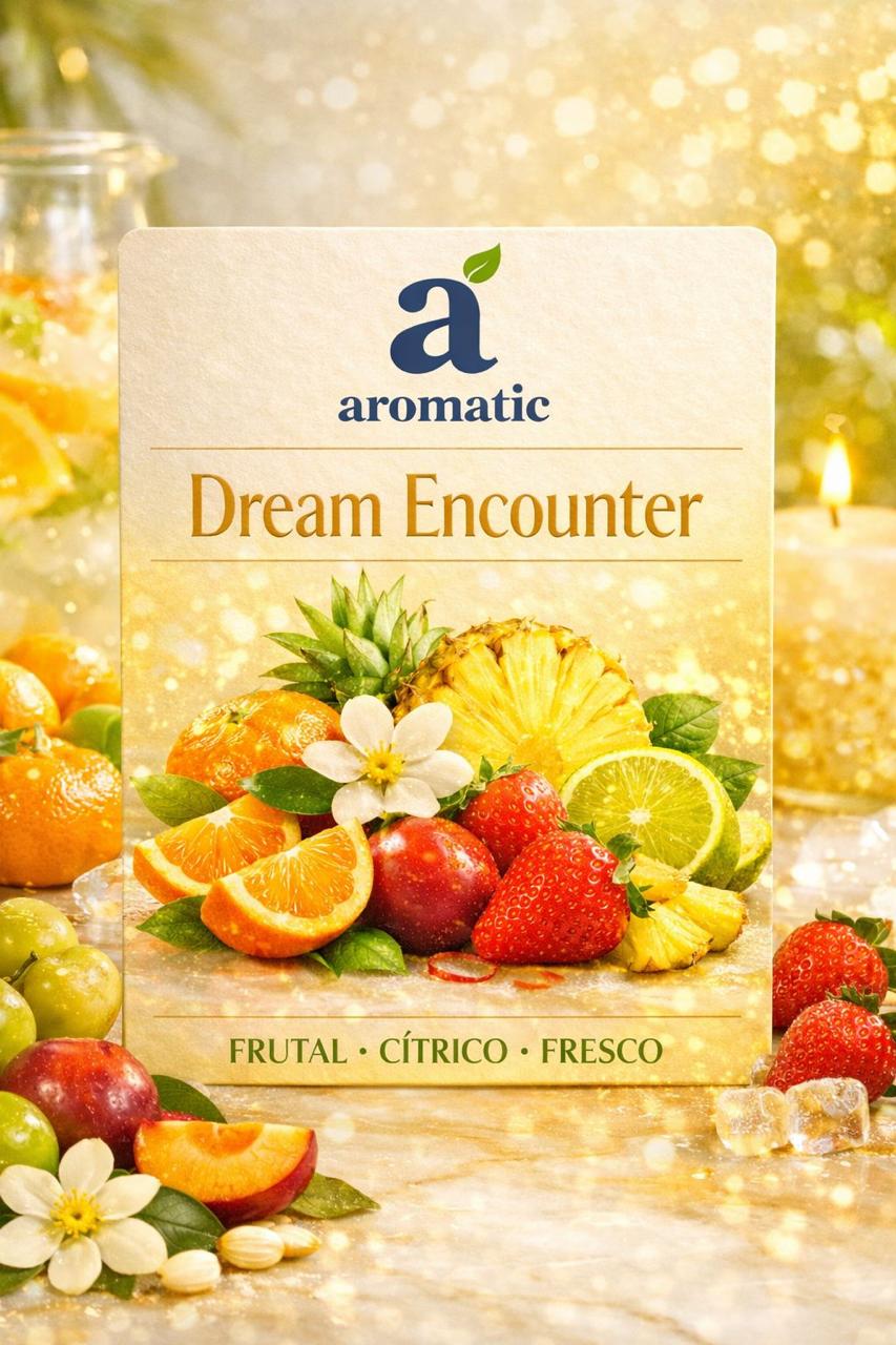 Dream Encounter